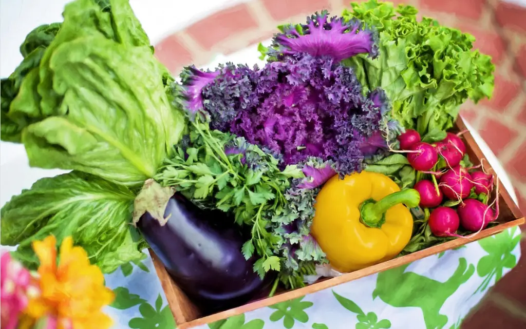 basket of vegetables