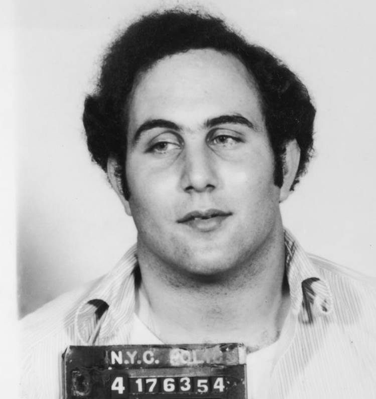 David Berkowitz facts